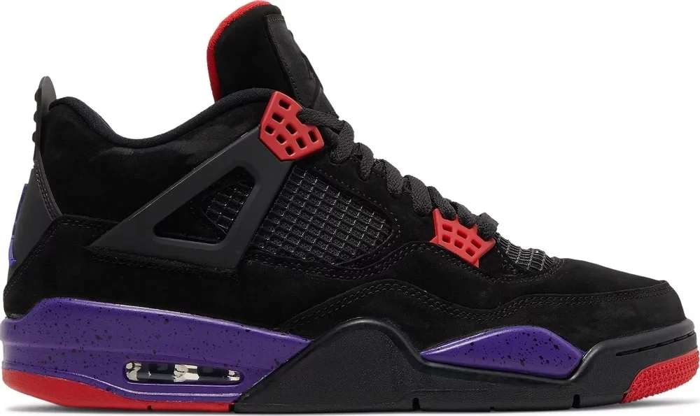 AJ 4 RAPTORS