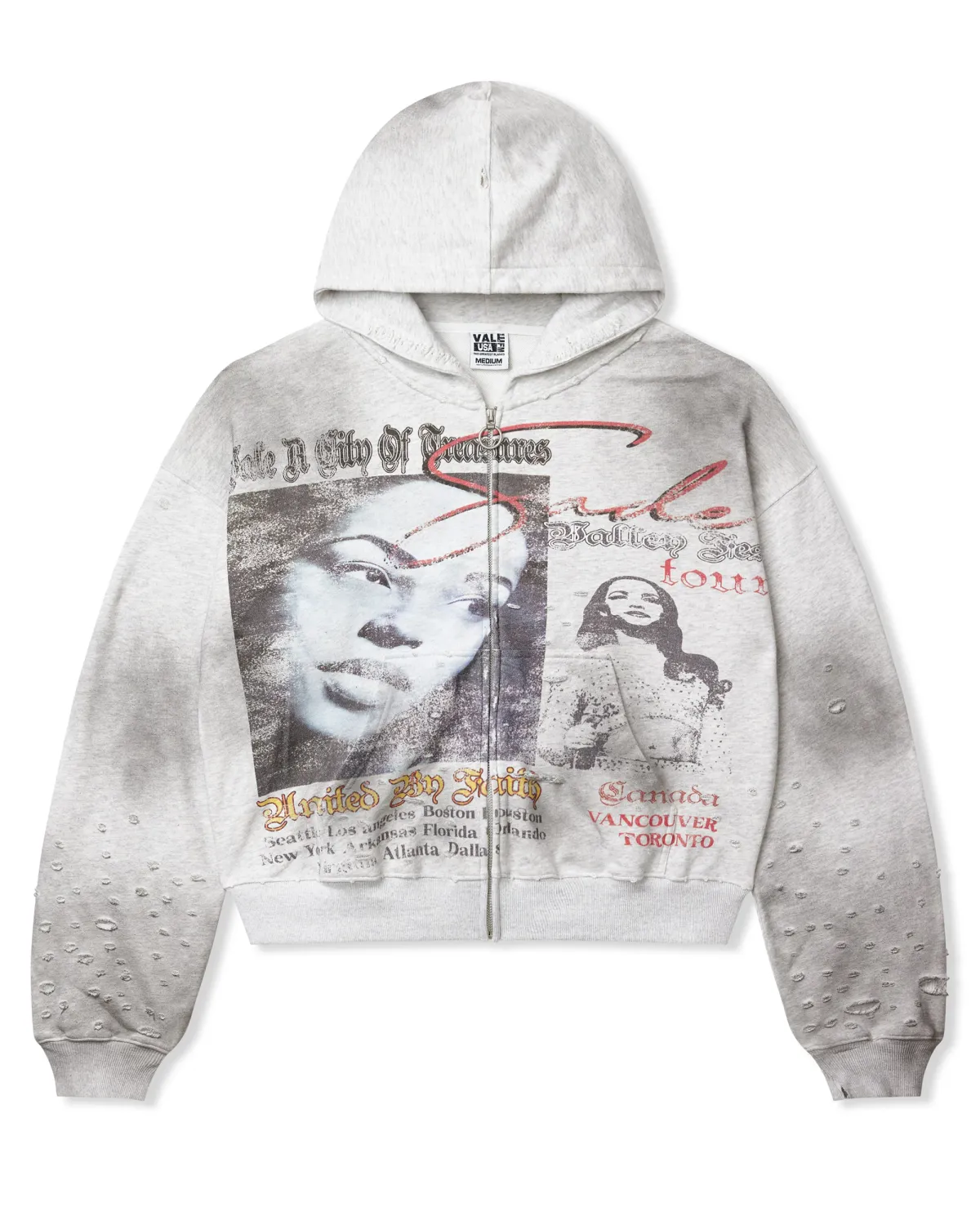 VALE VALLEY FEST ZIP UP HOODIE