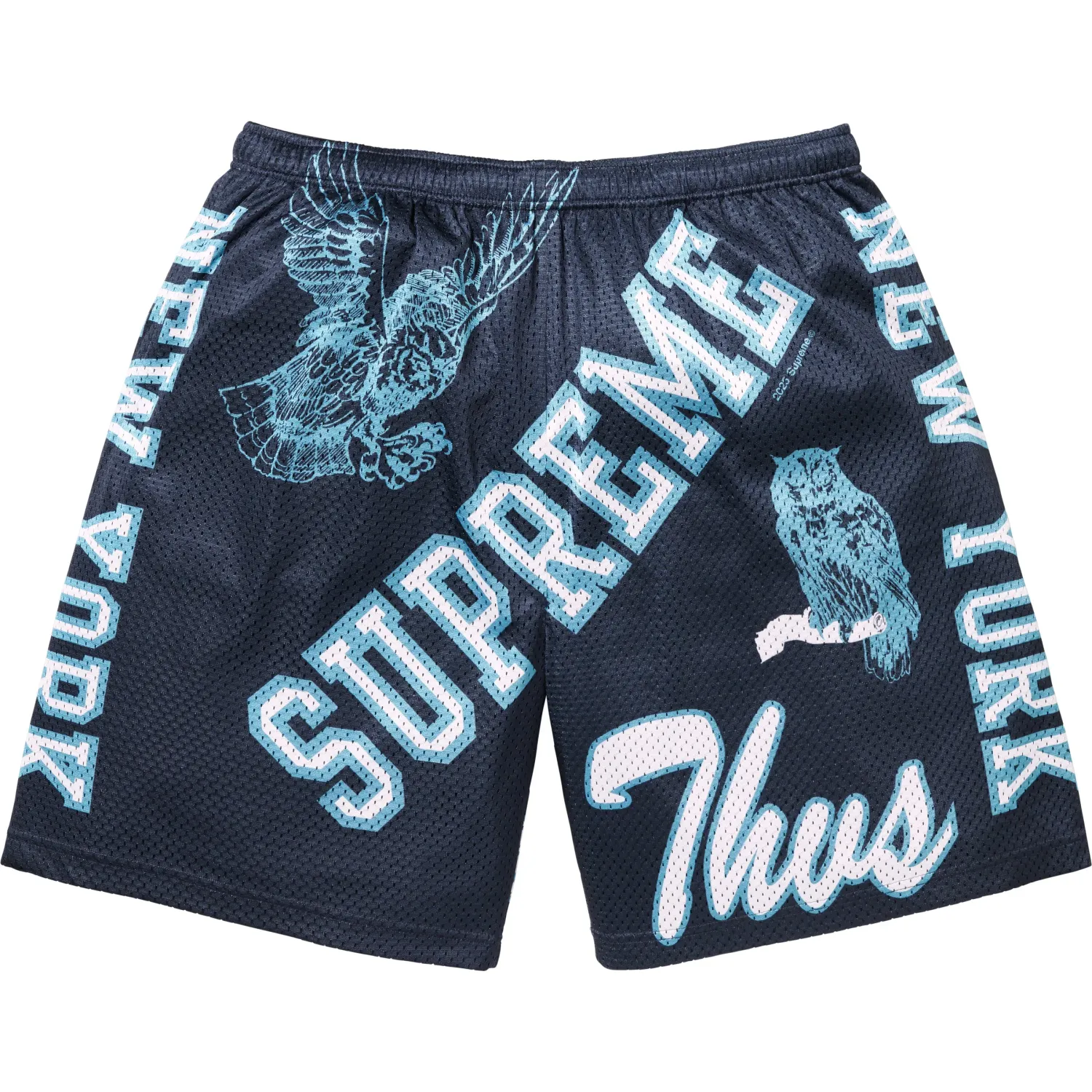 SUPREME VARSITY MESH SHORT NAVY