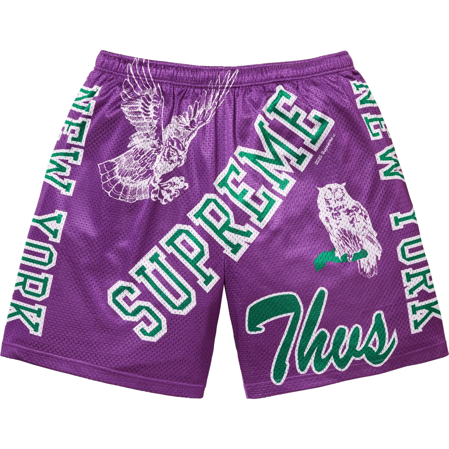 SUPREME VARSITY MESH SHORTS PURPLE