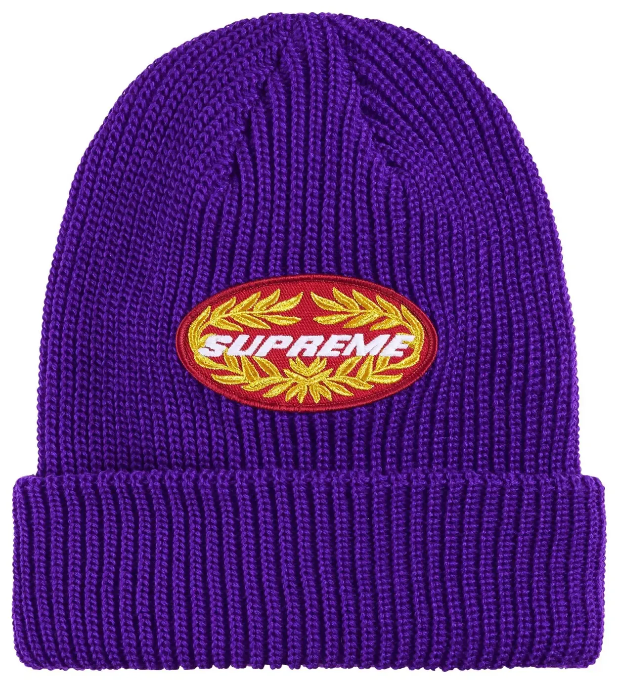 SUPREME TERMINAL PURPLE BEANIE