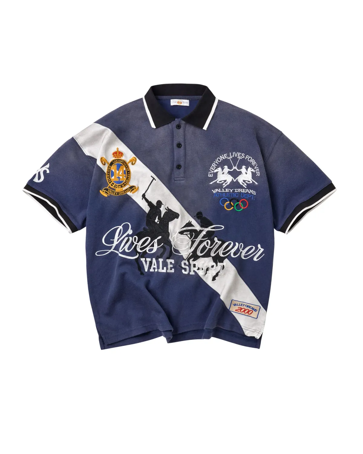 VALE WALES POLO