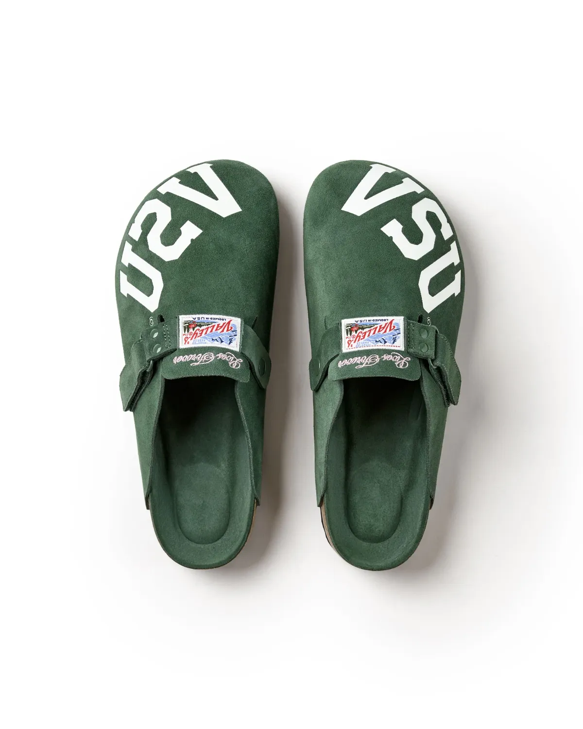 VALE VSU FOREST CLOG