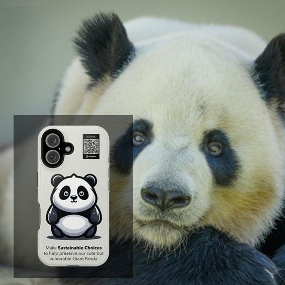 Giant Panda
