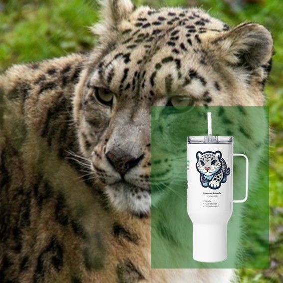 Snow Leopard