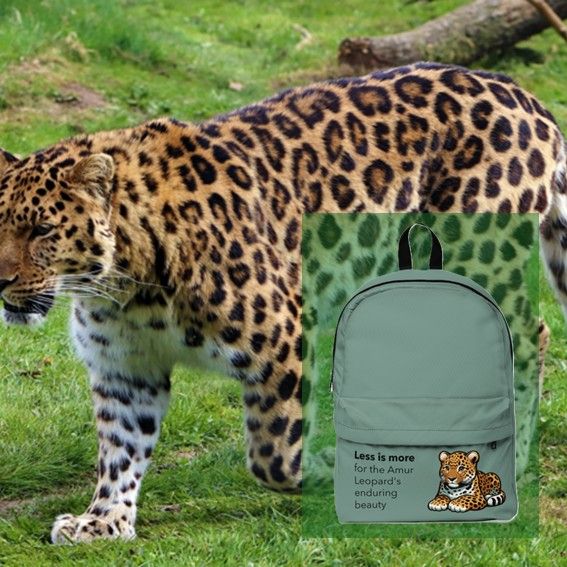 Amur Leopard