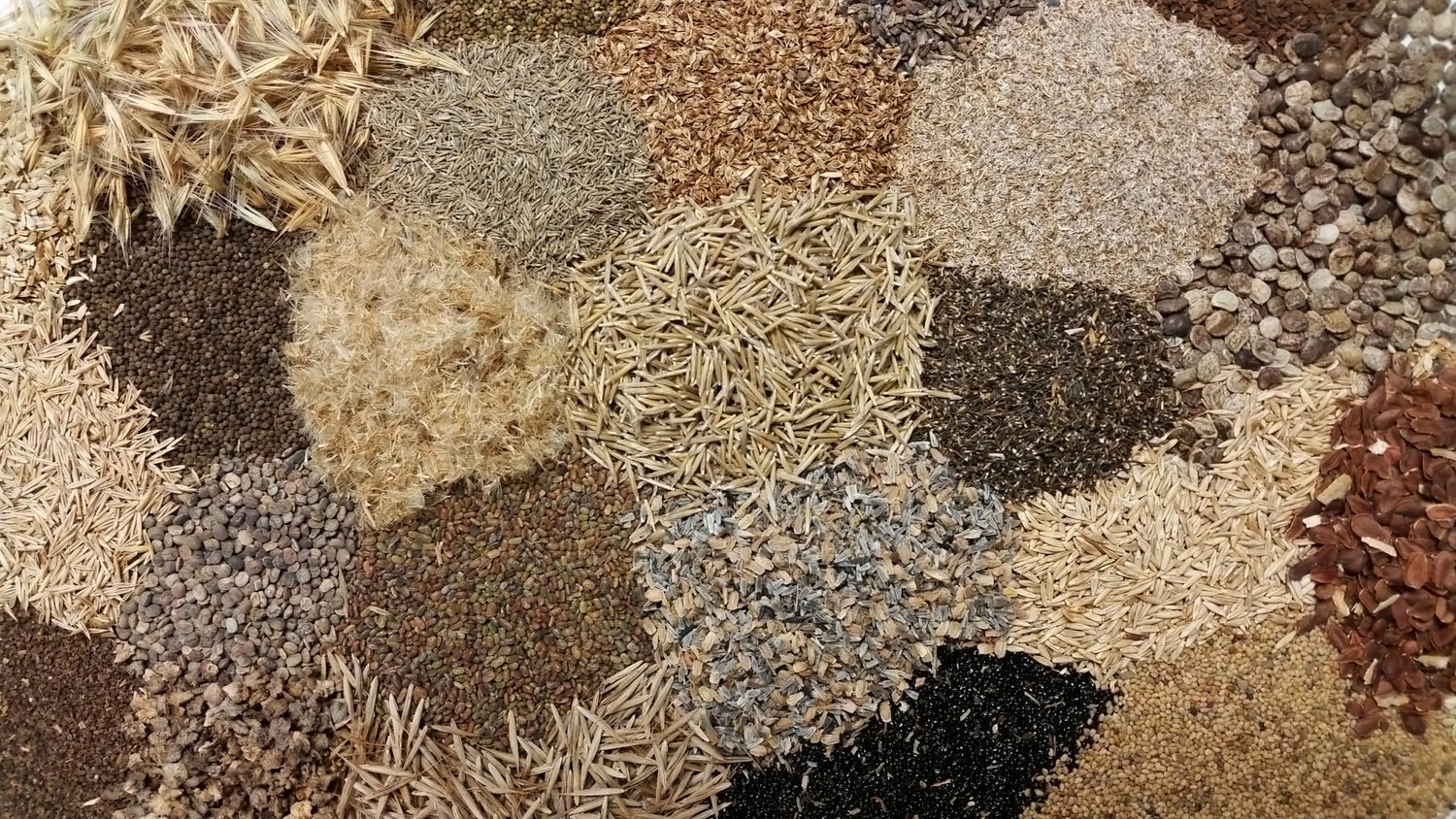 Native Erosion Control Mix Native Erosion Control Mix