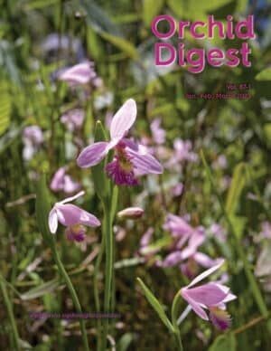 Issue 87-1 (2023)