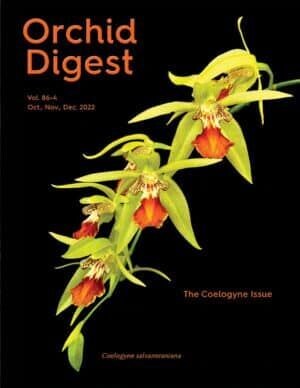 The Coelogyne Issue Volume 86-4 (2022)
