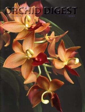 The Catasetum Issue Volume 80-4 (2016)