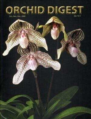 The Modern Slipper Hybrids Issue Volume 73-4 (2009)