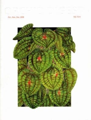 The Madevallia and Dracula Issue Volume 72-4 (2008)