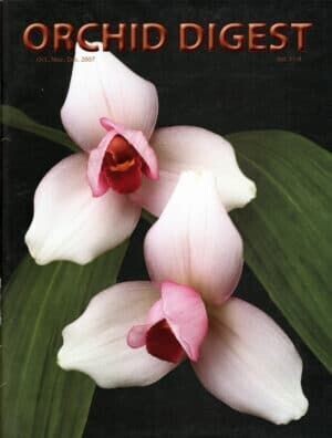 The Lycaste and Brassavola Issue Volume 71-4 (2007)