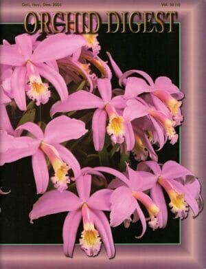The Cattleya Issue Volume 68-4 (2004) The Cattleya Issue Volume 68-4 (2004)