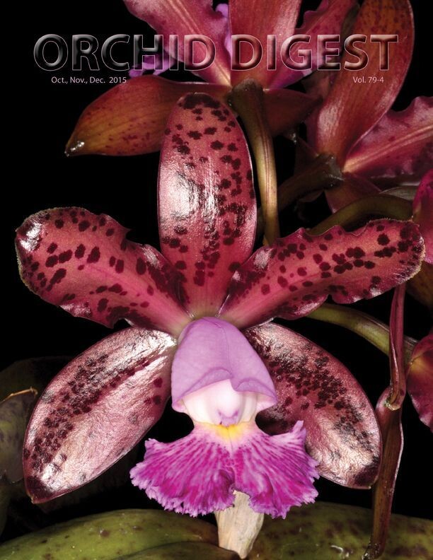 The Cattleya Issue Volume 79-4 (2015)