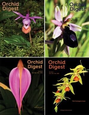 All Orchid Digest Magazines