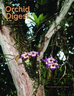 The Dendrobium Issue Volume 87-4 (2023)