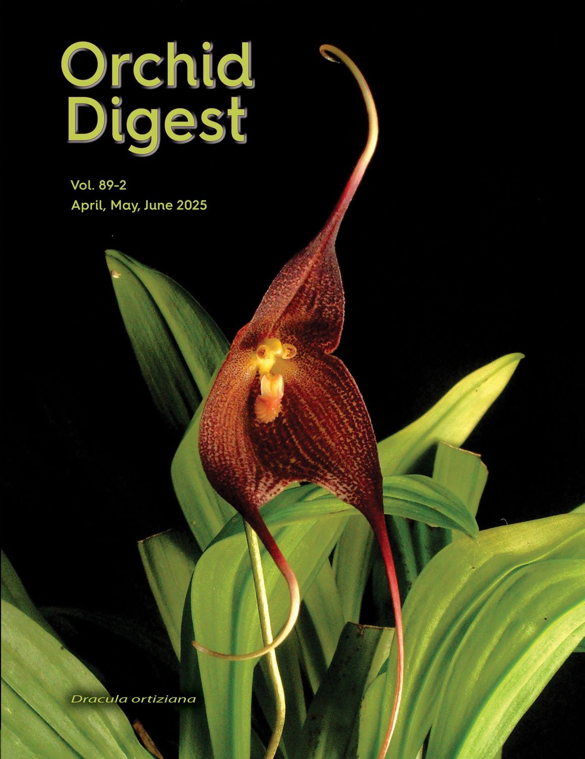 Volume 89-2 (2025)