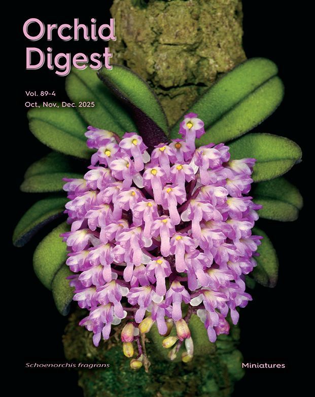 The Miniatures Volume 89-4 (2025)