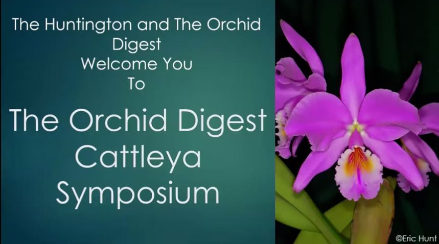 Orchid Digest Cattleya Symposium 2026