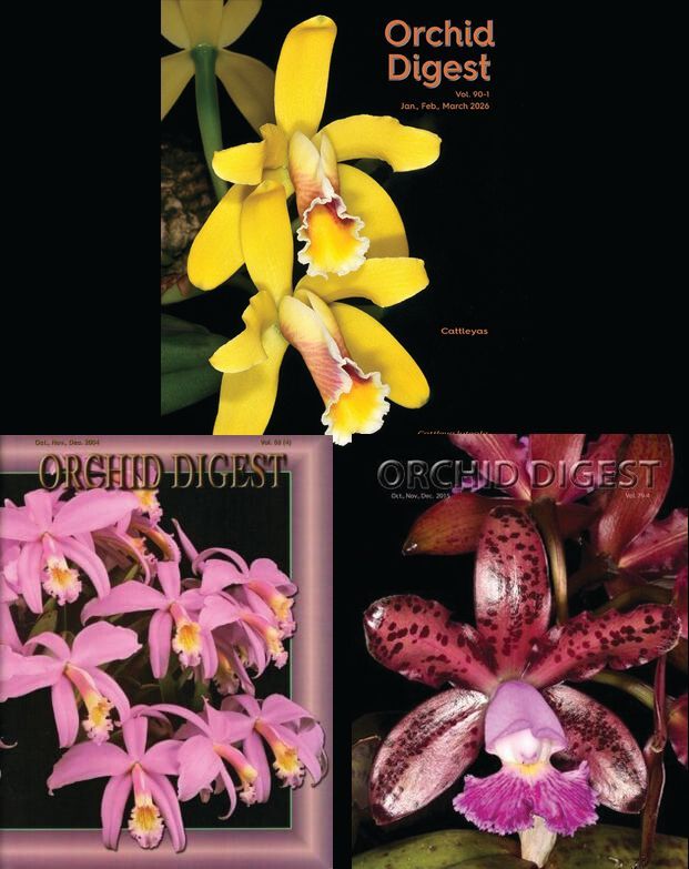 Cattleya Special Volumes 69-4, 79-4 and 90-1