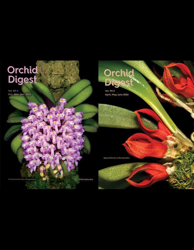 The Miniatures Issue Volumes 89-4 and 90-2