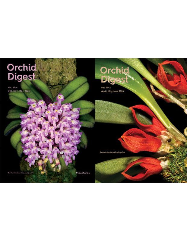 The Miniatures Special Volumes 89-4 and 90-2