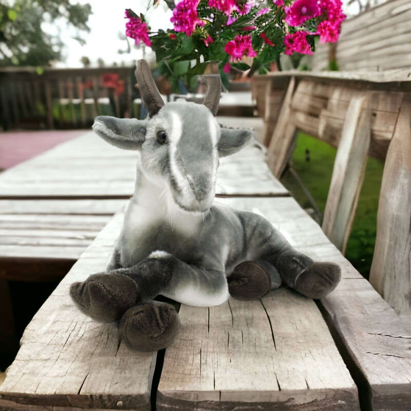 Patrick the Pygmy Goat