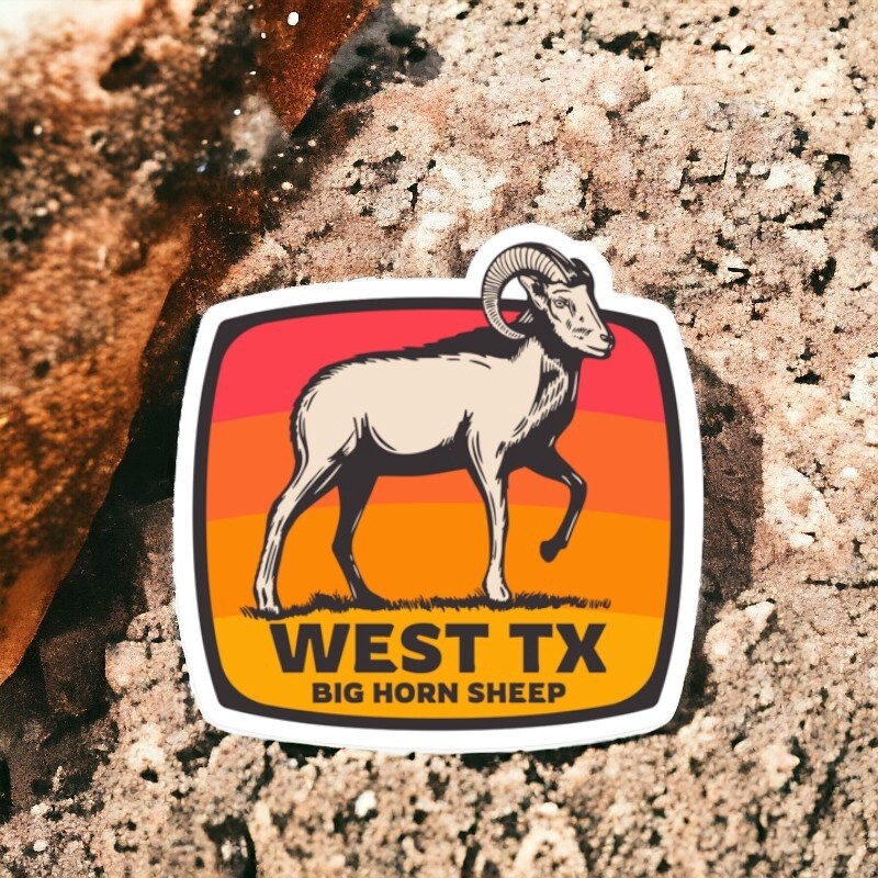 West Texas Big Horn Sheep Sticker