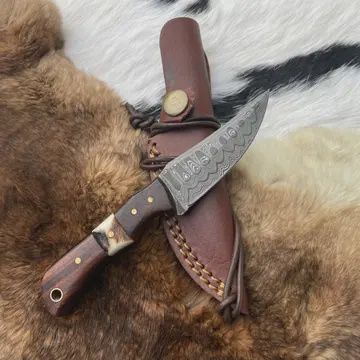 Damascus Steel Skinner Knife with Rosewood &amp; Stag Grip