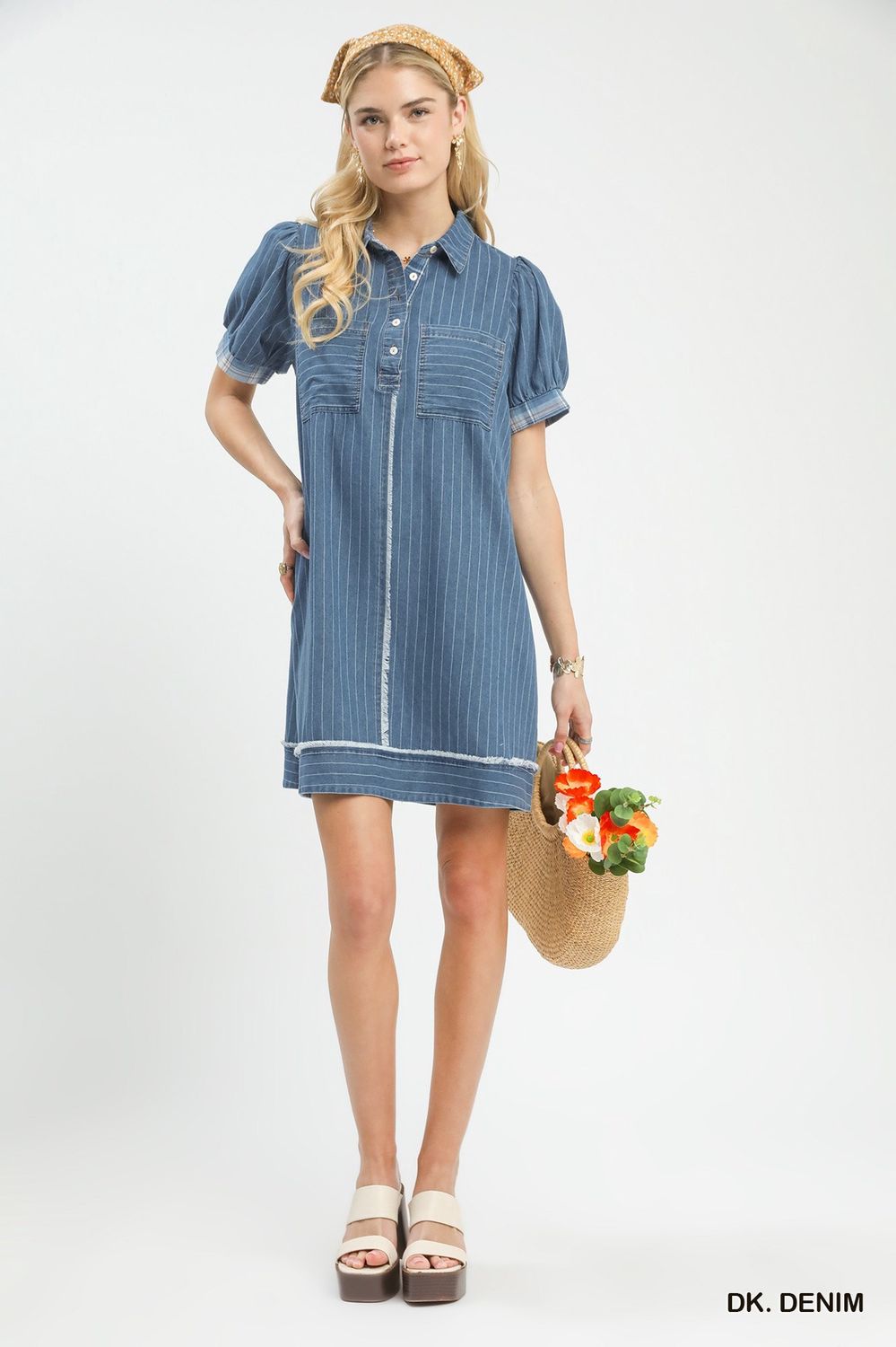 Denim Stripe Polo Mini Dress