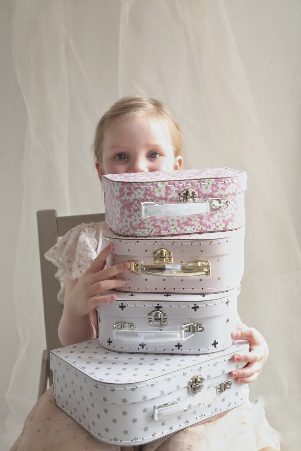 Alimrose Carry Case