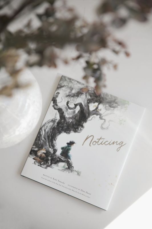 Book - Noticing