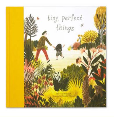 BOOK - Tiny Perfect Things