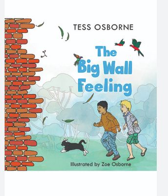 BOOK - The Big Wall Feeling