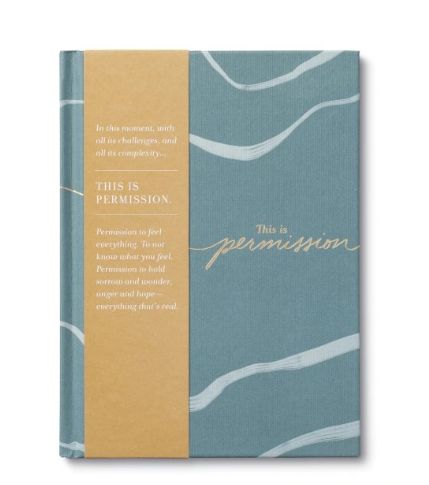 BOOK - This is Permission