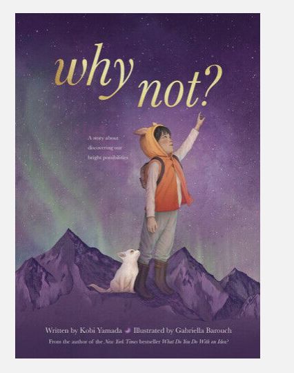 BOOK - Why Not?