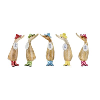 Ducks - Spotty Hat Duckling - Dcuk