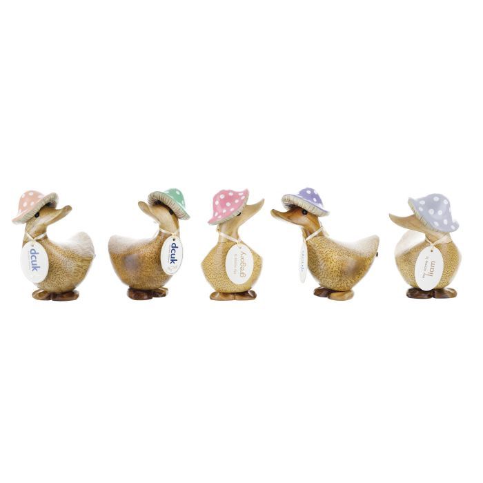 Ducks - Toadstool Folk - Dcuk