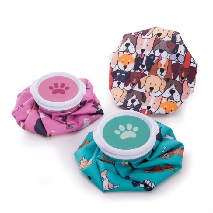 The Dog Collective Ice Pack - 2 assorted