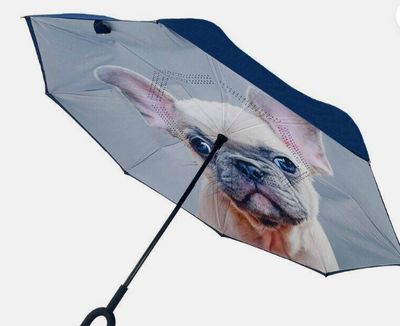 Umbrella - Reversible - IOco