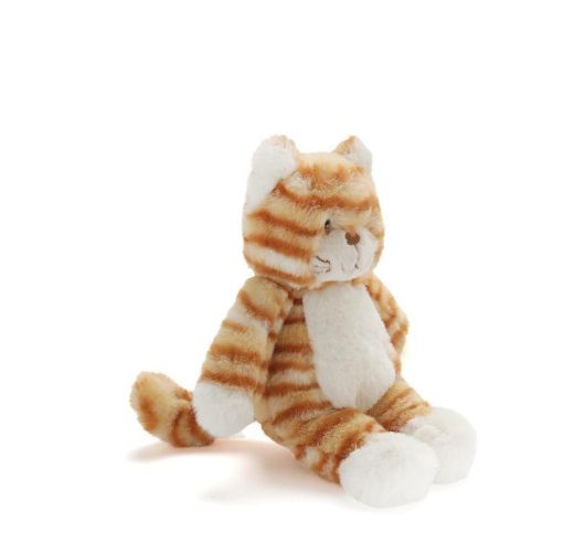 Cat - Ginger Kitten