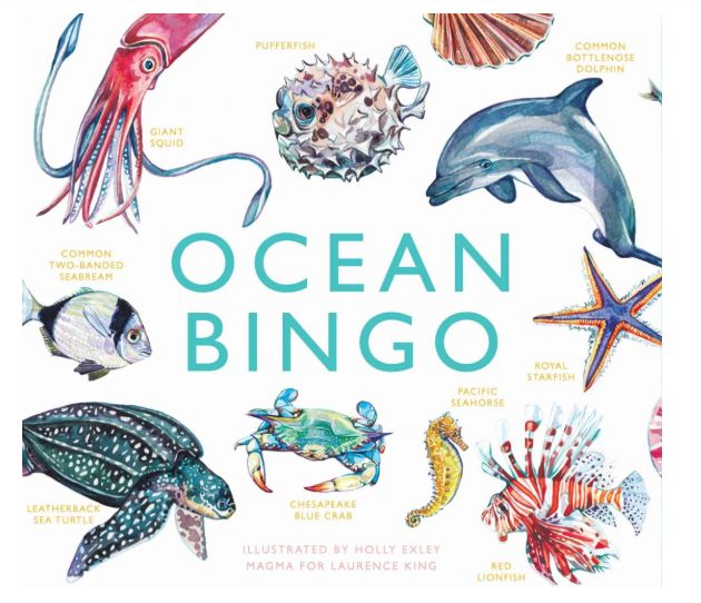 Game - Ocean Bingo Box