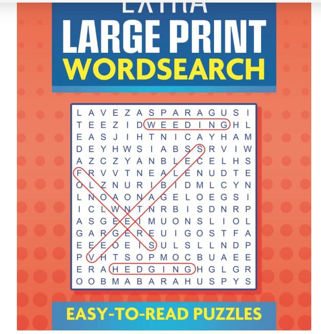 Book - Extra Large Print Wordsearch (Red Circle)
