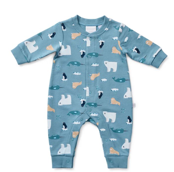 Bodysuit Longsleeve - Arctic Friends Cosy all in one, Size: 000