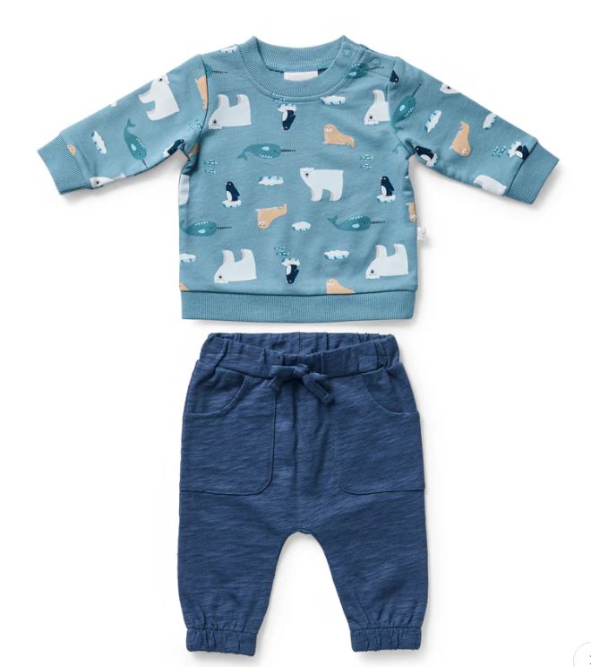 Jumper &amp; Pants Longsleeve - Arctic (Navy/print), Size: 000