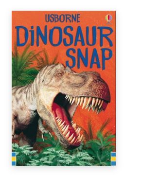 Snap Cards - Dinosaur &amp; Fairy, Name: Dinosaur