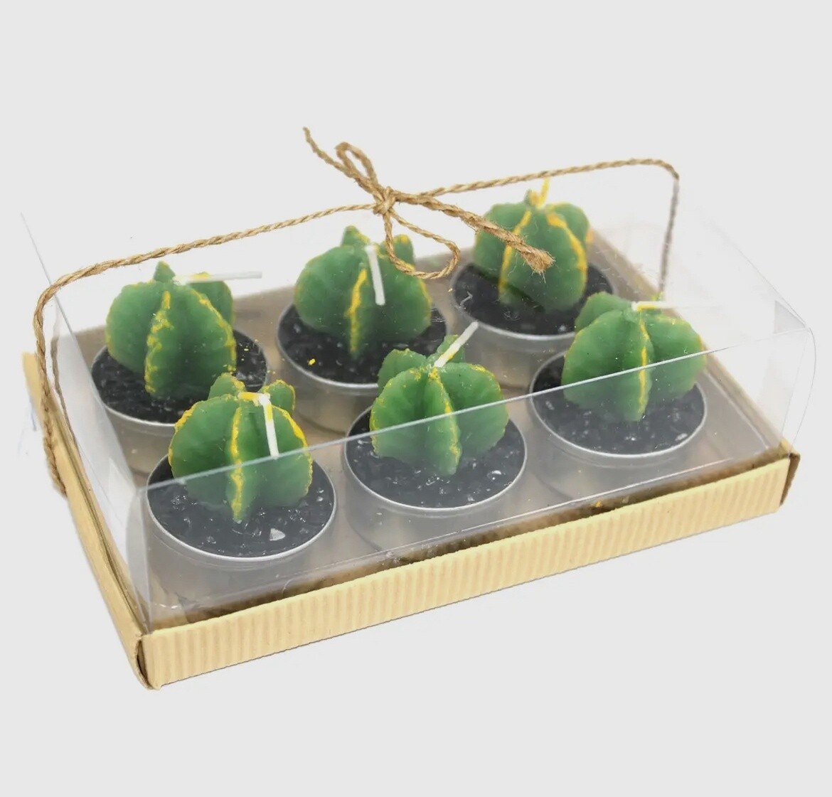 Cactus Candle