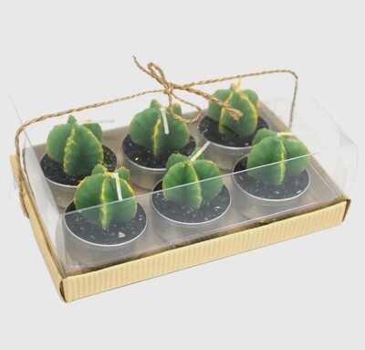 Cactus Candle
