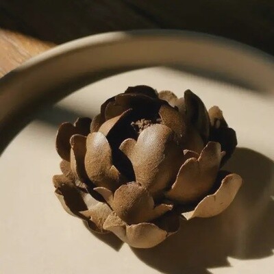 Green lotus insense burner
